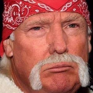 Meet your Posher, Jerry